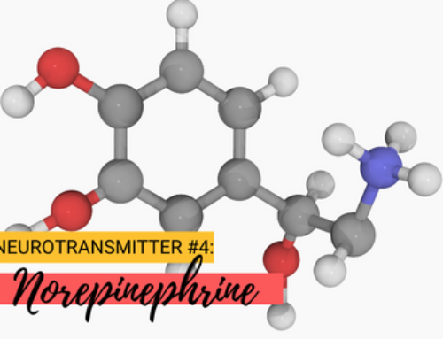 Neurotransmitter #4: Norepinephrine  