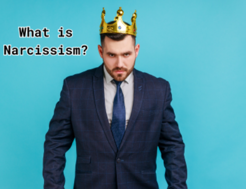 What is Narcissism?