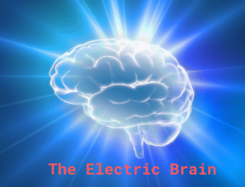 The Electric Brain